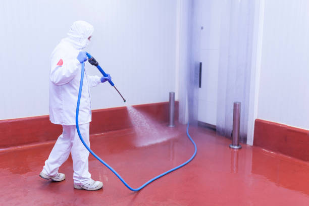 Best Winterizing Services  in Lillian, AL